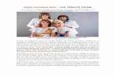 ABBA MAMMA MIA THE TRIBUTE SHOW - Teatro Bradesco