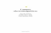 Campos electromagnéticos - Estudio de consultores en ...