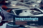 Imagenologia: mamografia, ultrassonografia e angiografia