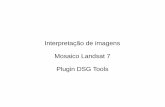 Interpretação de imagens Mosaico Landsat 7 Plugin DSG Tools