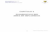 CAPITULO 4 DIAGNOSTICO DEL AREA DE INFLUENCIA