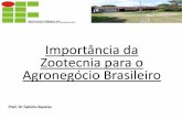 Importância da Zootecnia para o Agronegócio Brasileiro