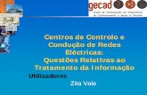 Centros de Controlo e Condução de Redes Eléctricas ...