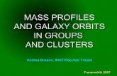 MASS PROFILES AND GALAXY ORBITS IN GROUPS AND CLUSTERS