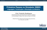 Primeiros Passos no Simulador EMSO
