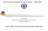 Prof. MSc. Paulo Ricardo Amador Mendes