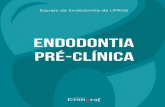 Equipe de Endodontia da UFRGS