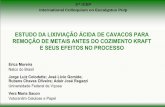 ESTUDO DA LIXIVIAÇÃO ÁCIDA DE CAVACOS PARA REMOÇÃO …