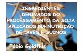 fabio goldflus Soja EMBRAPA (Londrina, 2015).ppt [Modo de ...