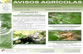 POMÓIDEAS - Agromanual