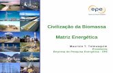 Civilização da Biomassa Matriz Energética