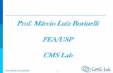 Prof. Márcio Luiz Borinelli FEA/USP CMS Lab