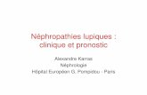 Néphropathies lupiques : clinique et pronostic