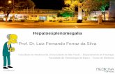 Prof. Dr. Luiz Fernando Ferraz da Silva
