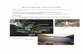 Ilha do Cabo Frio: Guia de Excursão