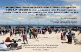 Ataques Terroristas em Cabo Delgado (2017-2020): as causas ...