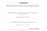 INFORME DEFINITIVO AMAGA-ESP-E-2013-ambiental-C-8-GT-2