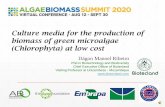 Culture media for the production of biomass of green ...