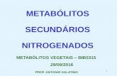 METABÓLITOS SECUNDÁRIOS NITROGENADOS