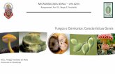 MICROBIOLOGIA GERAL LFN 0225