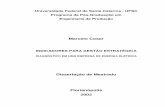 Dissertação de Mestrado Florianópolis 2003