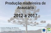 Produção madeireira de espécies nativas brasileiras 2012 a ...