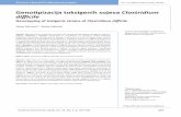Genotipizacija toksigenih sojeva Clostridium difficile