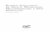 Business intelligence na prática: ModelageM ...