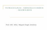TETRACICLINAS - AMINOGLUCOSIDOS