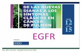 EGFR - gido.es