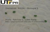 Disciplina: BI62A - Biologia 2