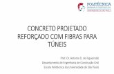 CONCRETO PROJETADO REFORÇADO COM FIBRAS PARA TÚNEIS