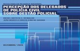 REVISTA REDES SOCIAIS - Percepção dos Delegados de Polícia ...