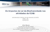 Os impactos da Lei da Biodiversidade nas atividades de P,D&I