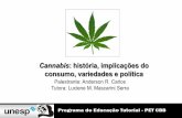 Cannabis: história, implicações do consumo, variedades e ...