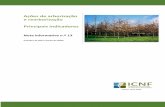 Ações de arborização e rearborização Principais indicadores