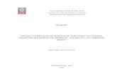 Monografia ANÁLISE E OTIMIZAÇÃO DE SISTEMAS DE ÁUDIO …