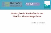 Detecção de Resistência em Bacilos Gram-Negativos