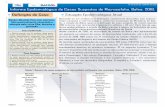 Informe Epidemiológico de Casos Suspeitos de Microcefalia ...