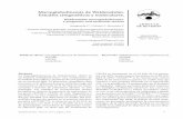 Macroglobulinemia de Waldenström. Estudios citogenéticos y ...