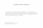 TESIS DOCTORAL - webs.ucm.es