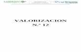 VALORIZACION N.º 12