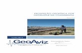 Prospeção Geofísica por Georadar em Conimbriga