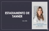 ESTADIAMENTO DE TANNER - Moodle USP: e-Disciplinas