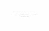 Notas de Teoria Macroecon^omica I - Filipe Stona