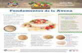 Fundamentos de la Avena - Food Hero