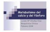 Metabolismo del calcio y del fósforo - Jornadas ...