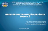UNIVERSIDADE FEDERAL DE PELOTAS - UFPEL CENTRO DE ...
