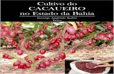 Cultivo do CACAUEIRO no Estado da Bahia