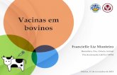 Vacinas em bovinos - UFPel